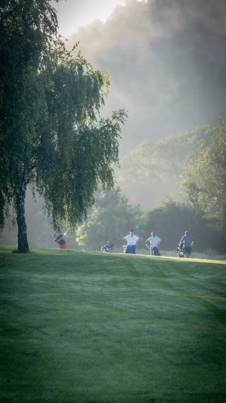 terrain-de-golf-avec-de-la-brume