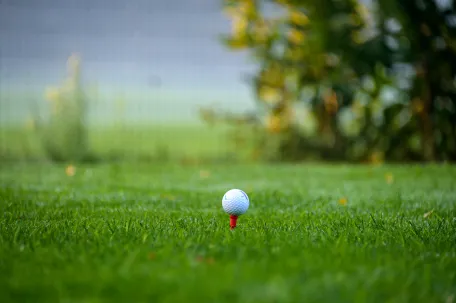 balle-de-golf-posée-par-terre