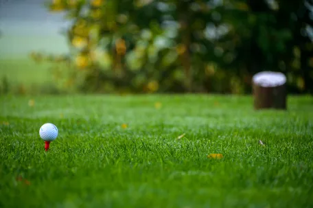 balle-de-golf-posée