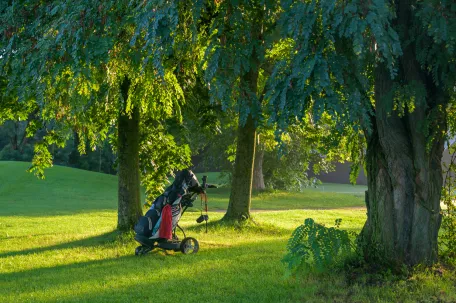 terrain-de-golf-avec-de-la-brume-et-un-sac-de-golf